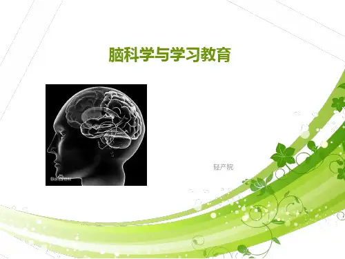 脑科学与学习记忆