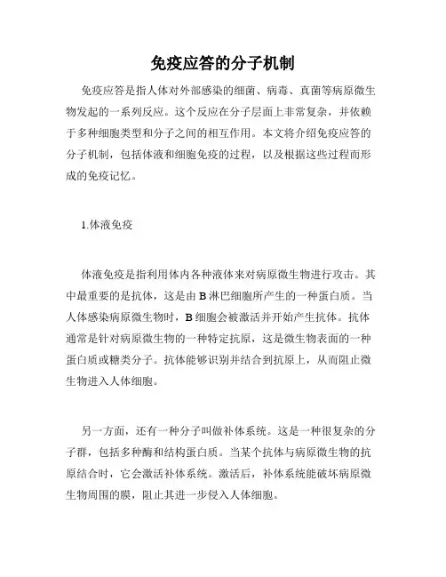 免疫应答的分子机制
