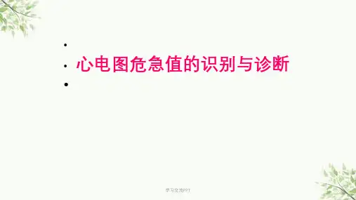 心电图危急值的识别与诊断课件