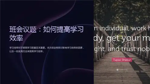 《班会议题：如何提高学习效率》