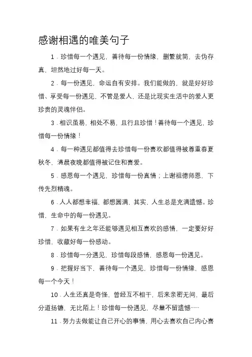 感谢相遇的唯美句子