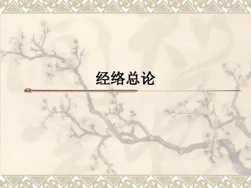 经络总论ppt课件