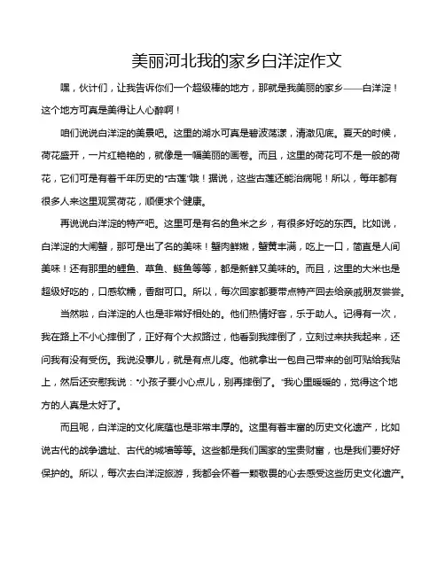 美丽河北我的家乡白洋淀作文