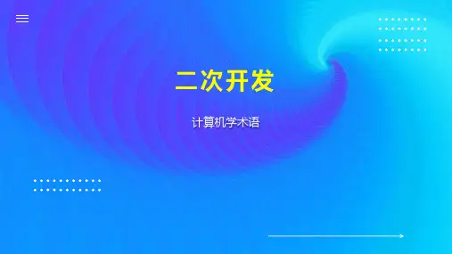 二次开发    