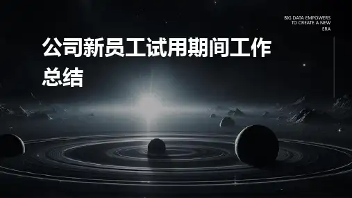 公司新员工试用期间工作总结PPT