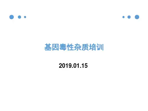 基因毒性杂质培训PPT演示幻灯片