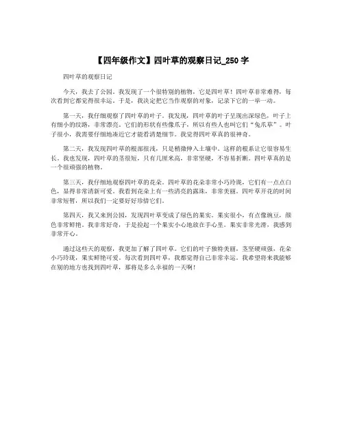 【四年级作文】四叶草的观察日记_250字