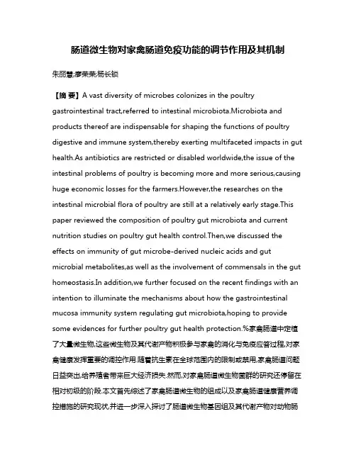 肠道微生物对家禽肠道免疫功能的调节作用及其机制