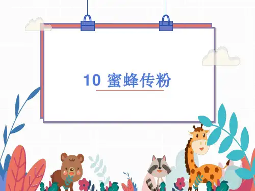 三年级下册科学课件《蜜蜂传粉》