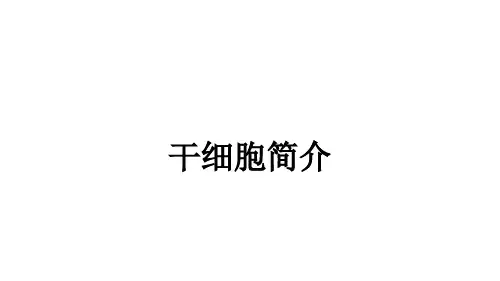 干细胞简介ppt课件