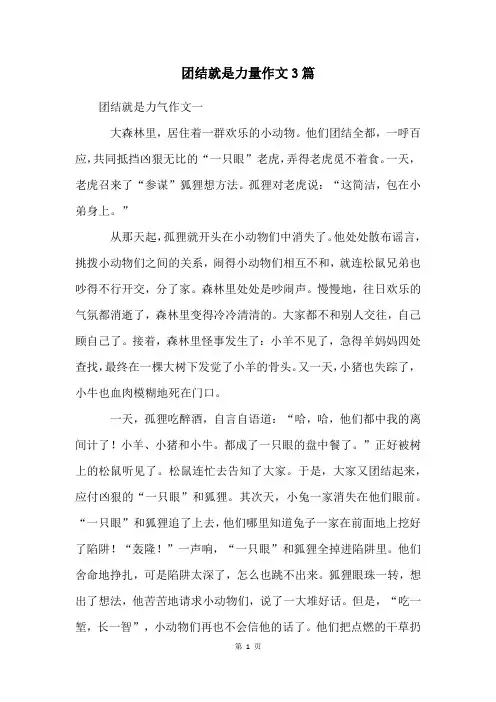 团结就是力量作文3篇