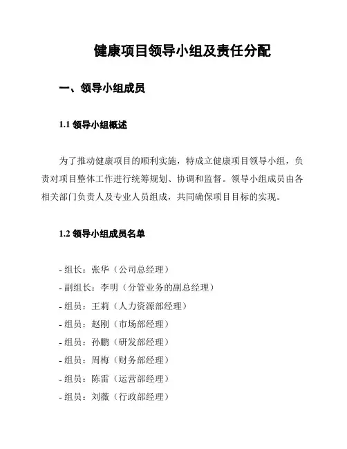 健康项目领导小组及责任分配