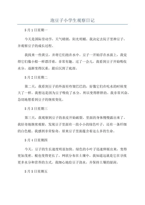 泡豆子小学生观察日记