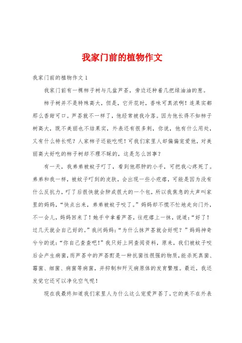 我家门前的植物作文