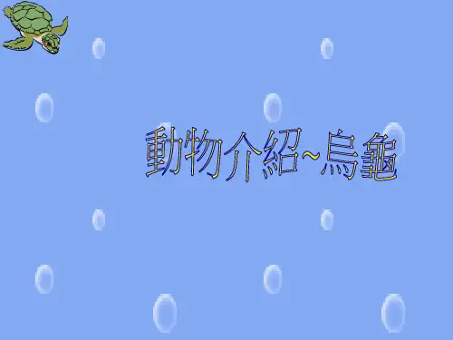 动物介绍~乌龟