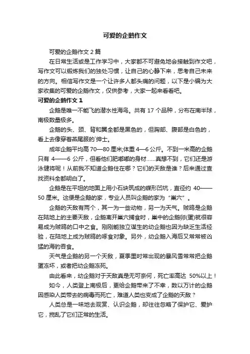 可爱的企鹅作文2篇