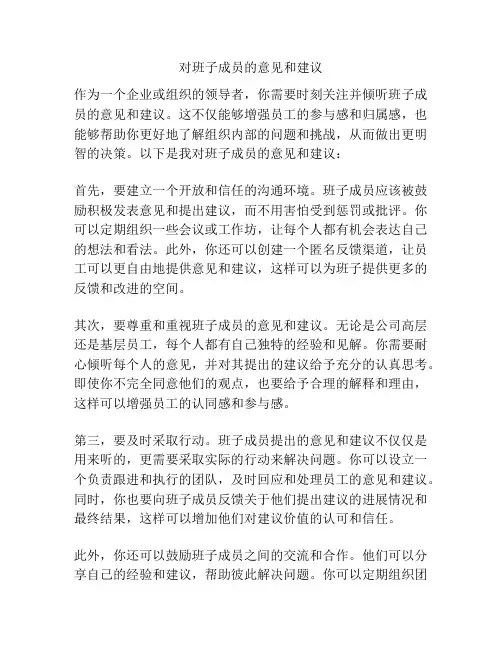 对班子成员的意见和建议