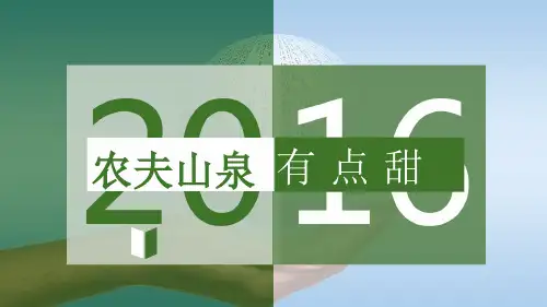 营销渠道管理案例分析 精选文档 课件