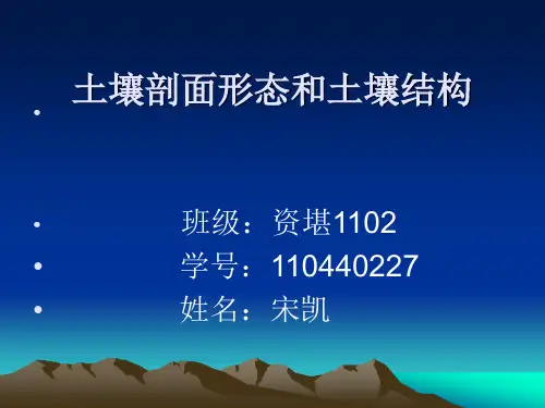 土壤的剖面形态和土壤结构