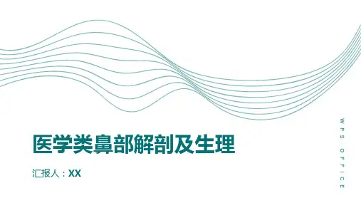 医学类鼻部解剖及生理