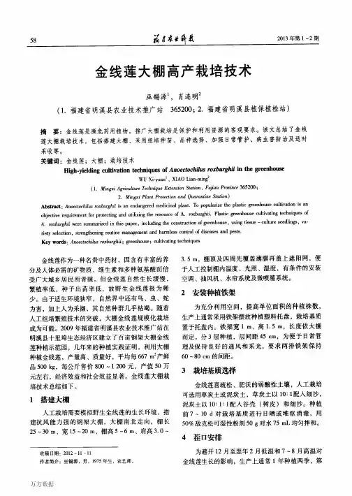 金线莲大棚高产栽培技术