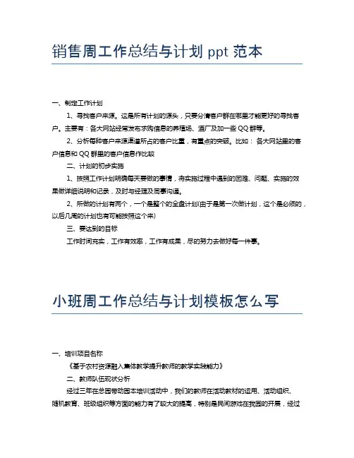 销售周工作总结与计划ppt范本