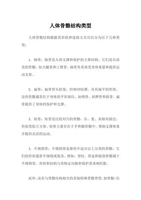 人体骨骼结构类型