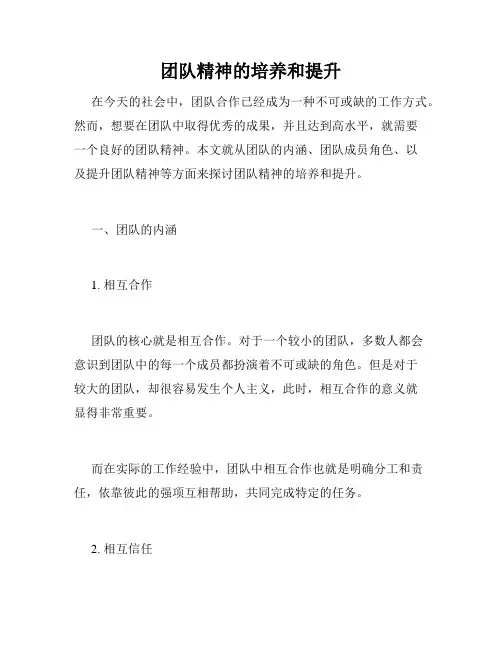 团队精神的培养和提升