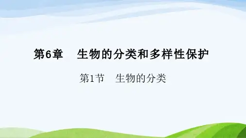 2024秋新苏教版生物七年级上册课件 6.1 生物的分类课件-