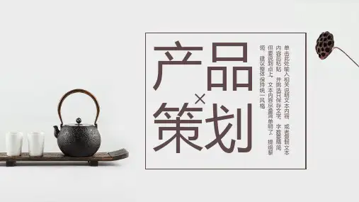 产品策划PPT模板