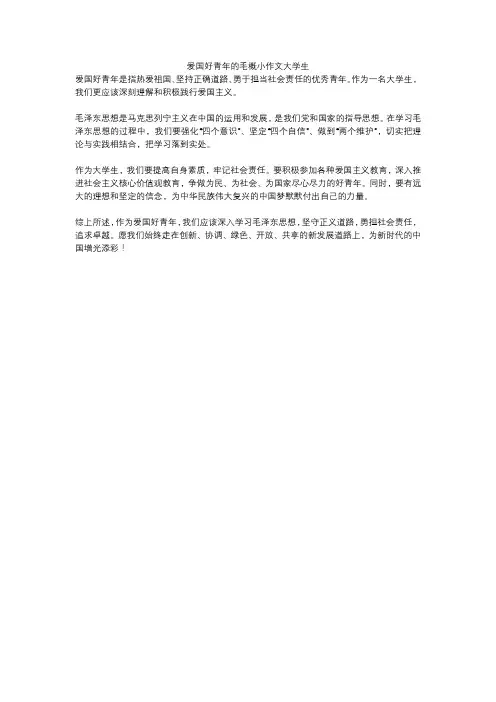 爱国好青年的毛概小作文大学生