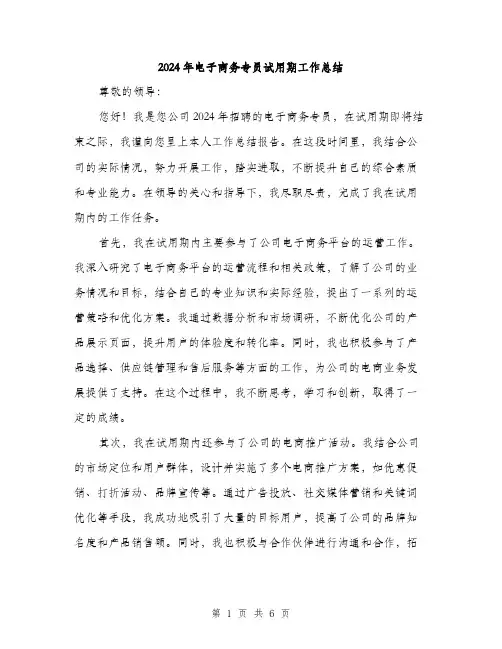 2024年电子商务专员试用期工作总结(二篇)
