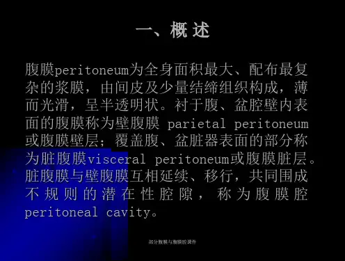 部分腹膜与腹膜腔课件