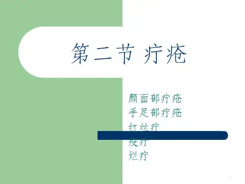 中医外科学之疔疮ppt课件