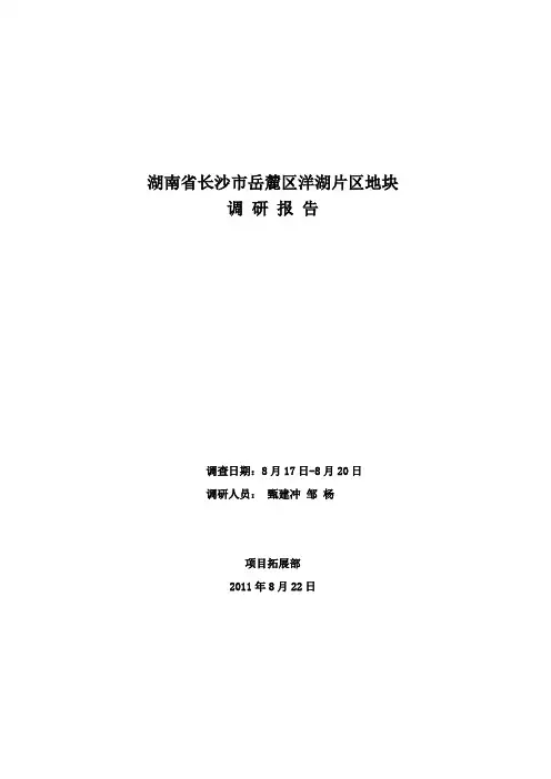 长沙岳麓区洋湖片区地块调研报告