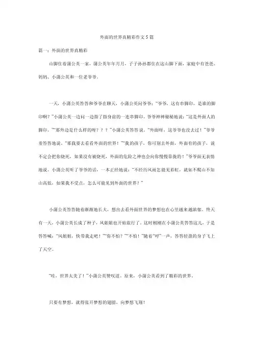 外面的世界真精彩作文5篇