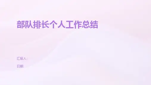 部队排长个人工作总结