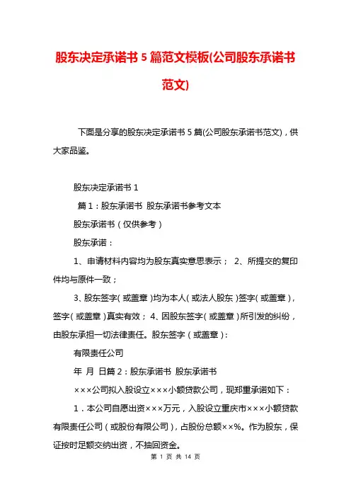 股东决定承诺书5篇范文模板(公司股东承诺书范文)