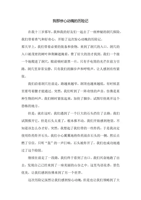 我那惊心动魄的历险记600字