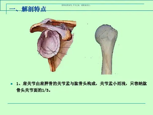 肩关节脱位介绍
