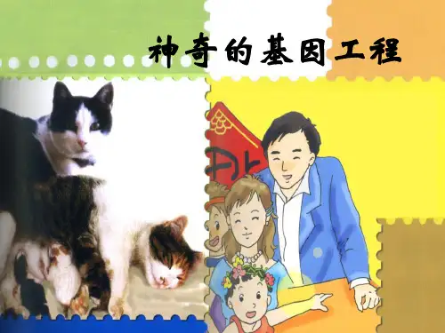 湘教版五年级下册科学《神奇的基因工程》说课教学课件