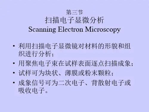 扫描电镜