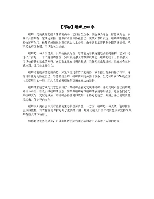 【写物】螳螂_200字