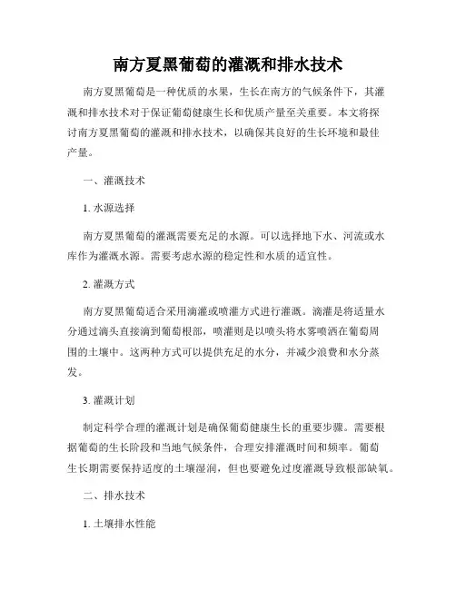南方夏黑葡萄的灌溉和排水技术