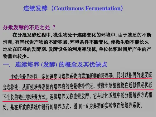 连续发酵