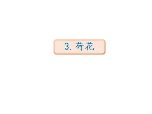 人教部编版语文《荷花》ppt课件1