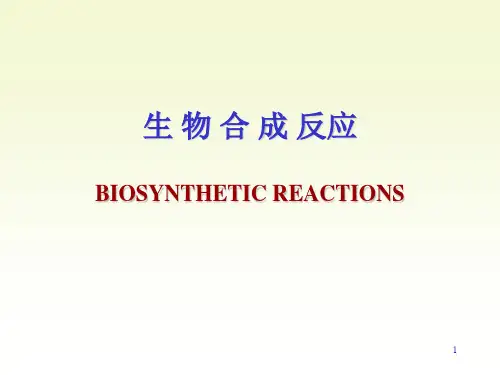 生物合成反应PPT参考幻灯片