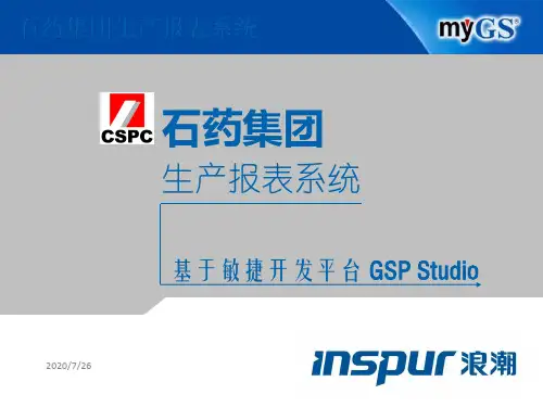 浪潮通软-石家庄制药集团—数据对象,数据模型,表单