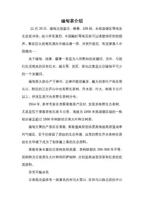 缅甸茶介绍