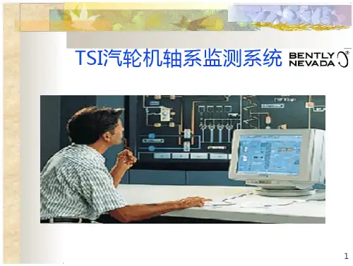 TSI汽轮机轴检测系统